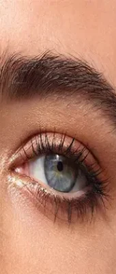 eyebrow31