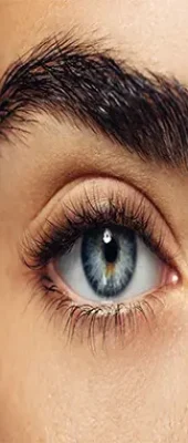 eyebrow32
